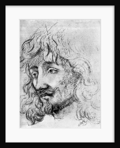 Study of a Head by Anonymous