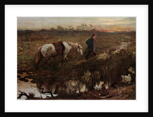 The Cast Shoe by Anonymous