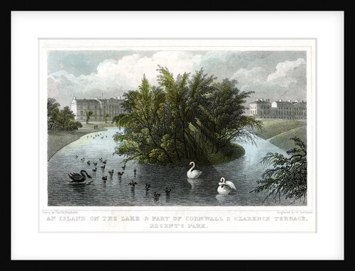 Island on the lake and Part of Cornwall and Clarence Terraces, Regent's Park, London by William Tombleson