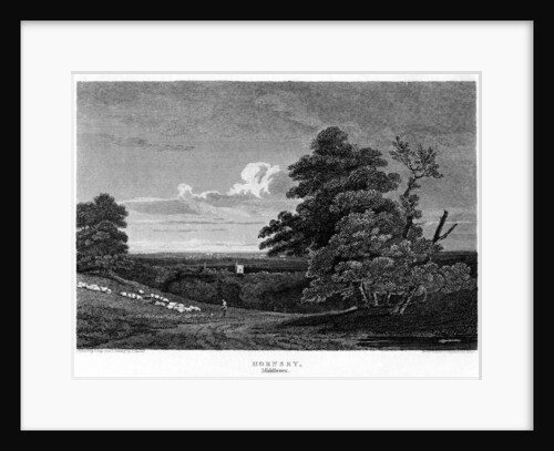 Hornsey, London by J Greig