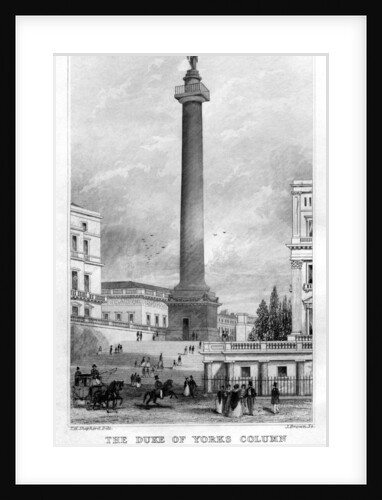 The Duke of York's Column from St James's Park, Westminster, London by Anonymous