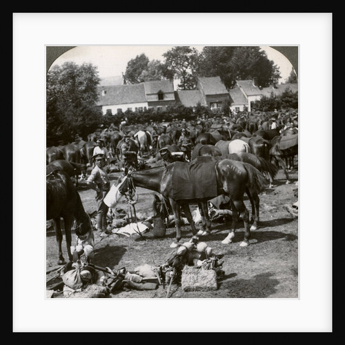 Troops feeding their horses and resting on the march, World War I by Realistic Travels Publishers