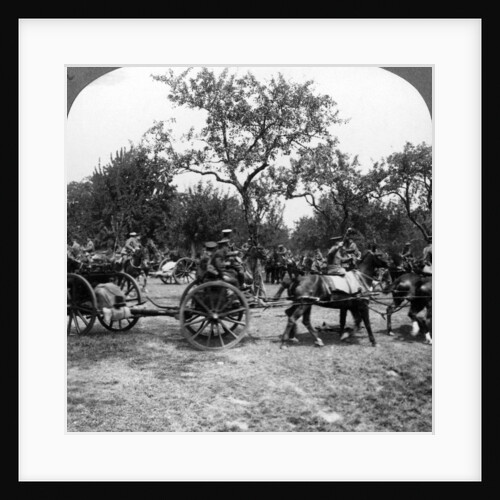 Horse-drawn artillery, World War I by Realistic Travels Publishers