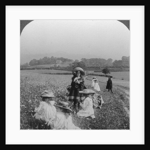 Children in a meadow, Keswick, Cumbria by Excelsior Stereoscopic Tours