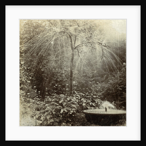 Willow Tree Fountain, Chatsworth, Derbyshire by The Fine Art Photographers Co