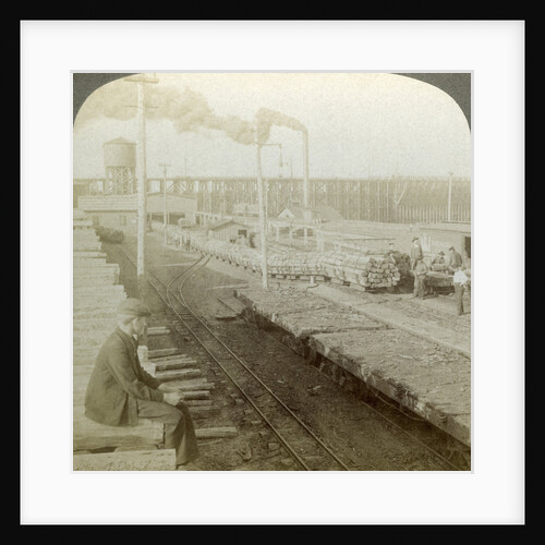 Plant and switchyards of a wood preserving company, Escanaba, Michigan, USA by Underwood & Underwood