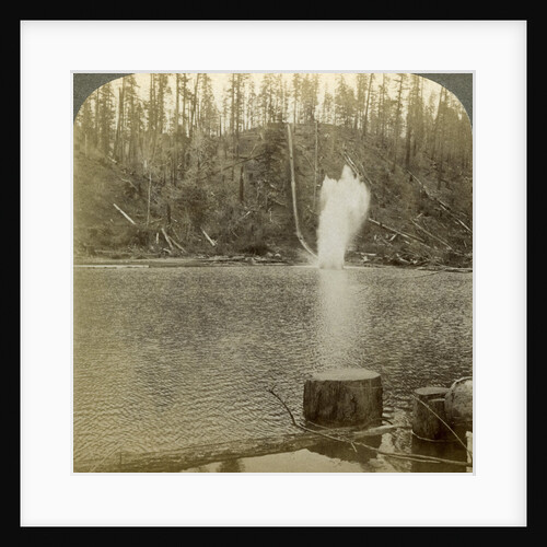 Log flume, Oregon, USA by Underwood & Underwood