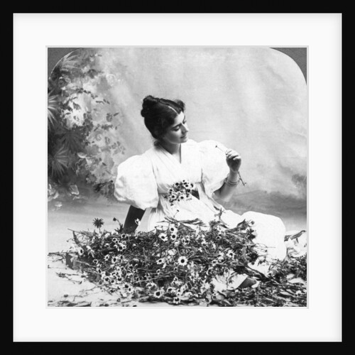 Tell Me Daisy Does He Love Me? by American Stereoscopic Company