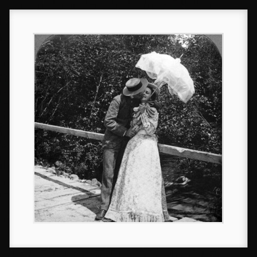 The Summer Girl and Her Sweetheart by American Stereoscopic Company
