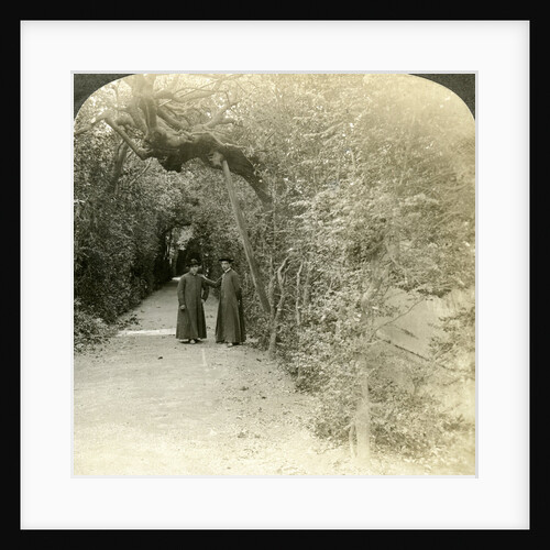 Bower of St Anthony, Vatican Gardens, Rome, Italy by Underwood & Underwood