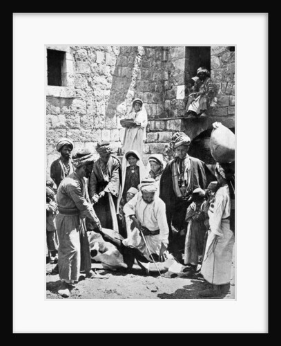 Killing the fatted calf by Underwood & Underwood