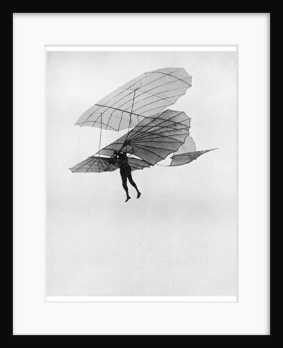 Otto Lilienthal makes one of his last flights by Anonymous