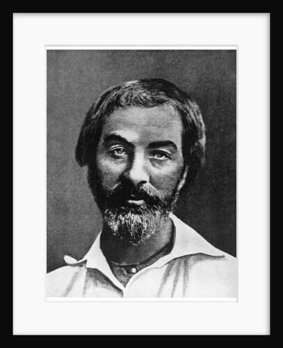Walt Whitman, American poet by Anonymous