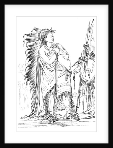 'Two Crows', Native American male of the Minataree tribe by Myers and Co