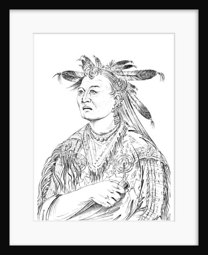 'The Bloody Hand', One of the chiefs of the Riccaree tribe by Myers and Co