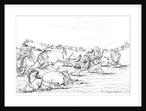 Native Americans hunting buffalo by Myers and Co