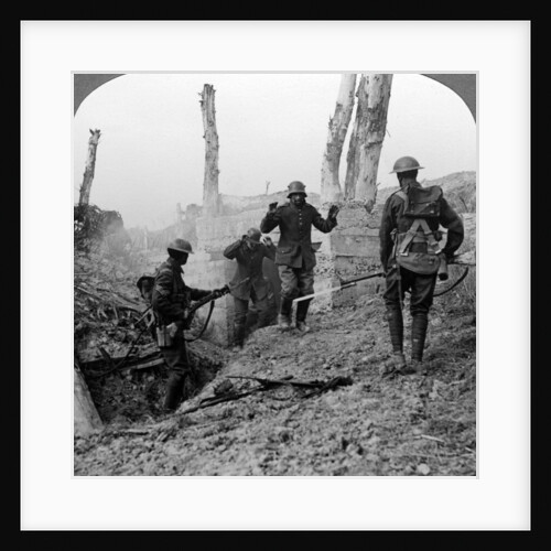German soldiers surrendering, Bullecourt, France, World War I by Realistic Travels Publishers