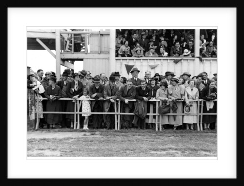 Crowd at the races by Anonymous