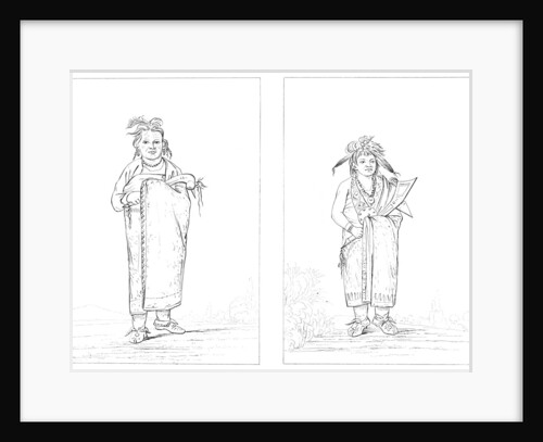 Winnebagoes by Myers and Co