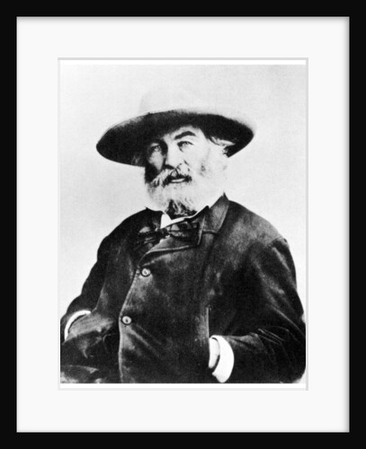 Walt Whitman, American poet by Anonymous