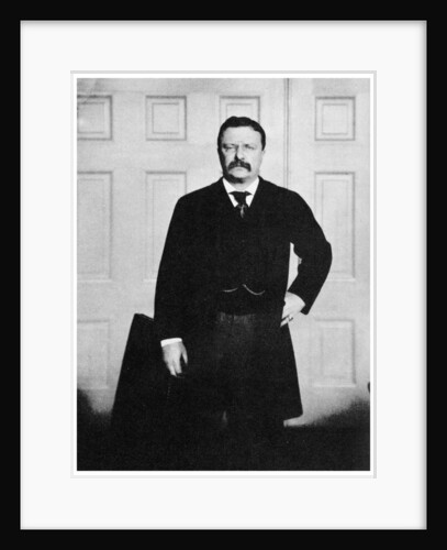Theodore Roosevelt, 26th President of the United States by Anonymous