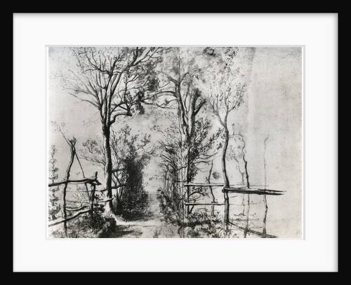 A Path Bordered by Trees by Anonymous