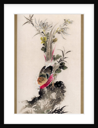 Pheasant by Witherby & Co