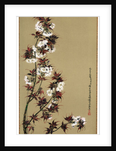The Cherry Blossoms of Mikawa by Wilhelm Greve