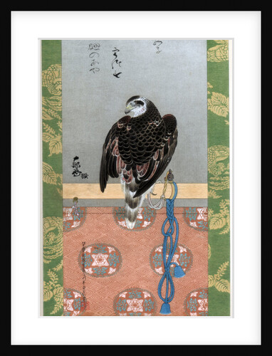 Falcon by Wilhelm Greve