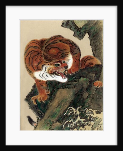 Tiger (from life) by Anonymous