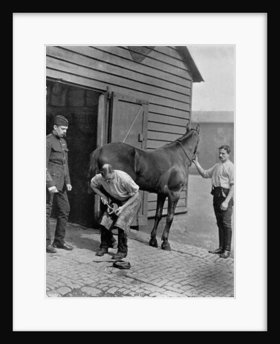 The Farrier-Major of the Royal Horse Guard by Gregory & Co