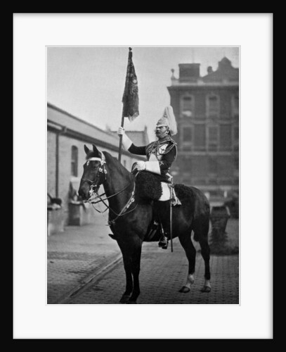 Squadron Corporal Major of the 1st Life Guards with standard by Gregory & Co