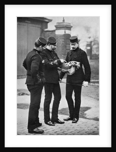 A veterinary demonstration, 1st Life Guards by Gregory & Co