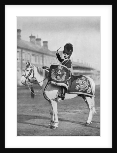 'Plum Duff', the drum-horse of the Royal Scots Greys by Gregory & Co