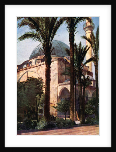 Jezzar Pasha mosque, Acre, Palestine by Donald McLeish