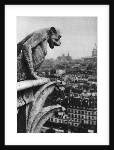 Stone demon, Notre Dame, Paris, France by Donald McLeish