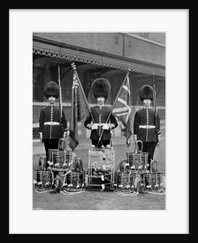 The colours and drums of the 2nd Grenadier Guards by J Thomson