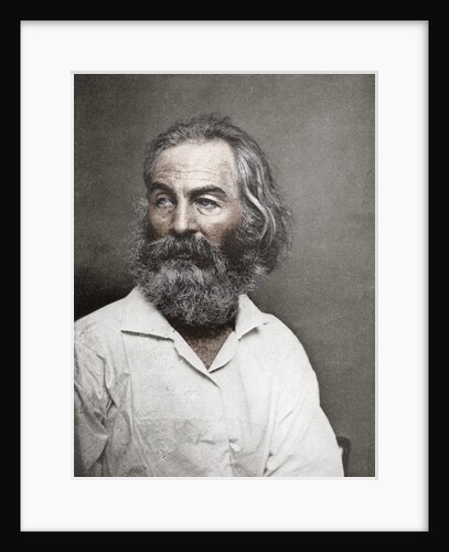 Walt Whitman, American poet by Mathew Brady