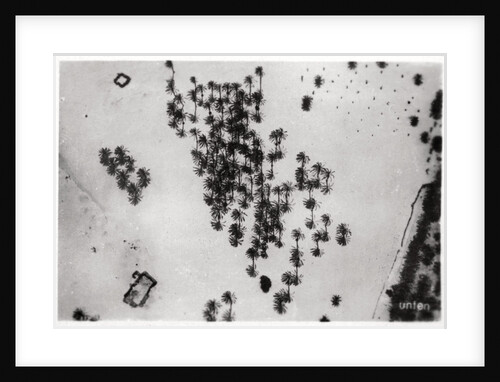 Aerial view of palm shadows in the Arabian desert, from a Zeppelin by Anonymous