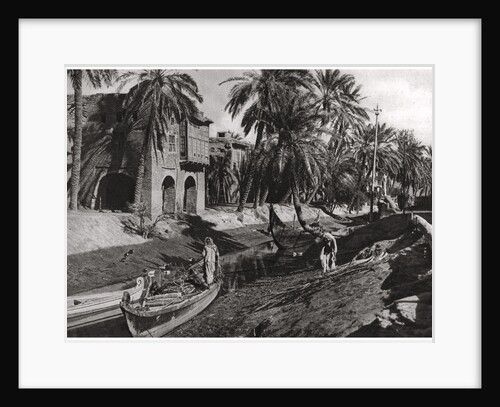 Serai Creek, Basra, Iraq by A Kerim