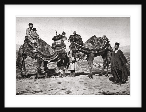 Pilgrims with their camels on their way to Karbala, Iraq by A Kerim