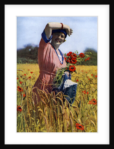 The English Rose by Horace Walter Nicholls