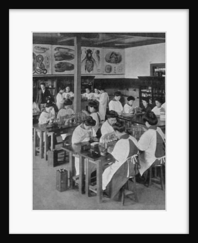 The higher education of women in Japan by Anonymous