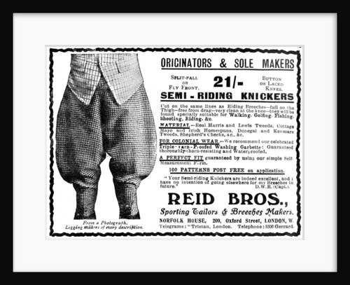 Advert for Reid Bros, Sporting Tailors & Breeches Makers by Anonymous
