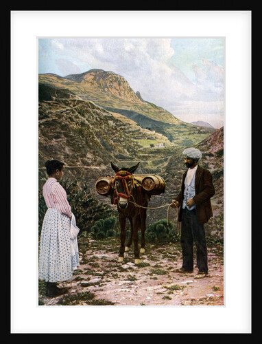 Mule with water kegs, Sicily, Italy by AW Cutler