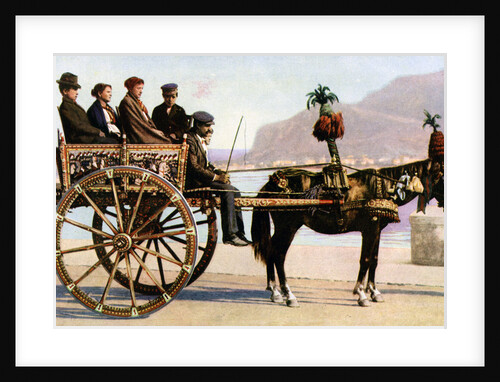 Cart, Palermo, Sicily by Anonymous