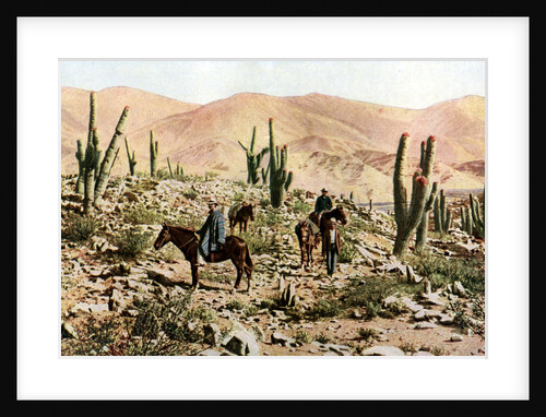 Atacama Desert, Northern Chile, South America by Anonymous