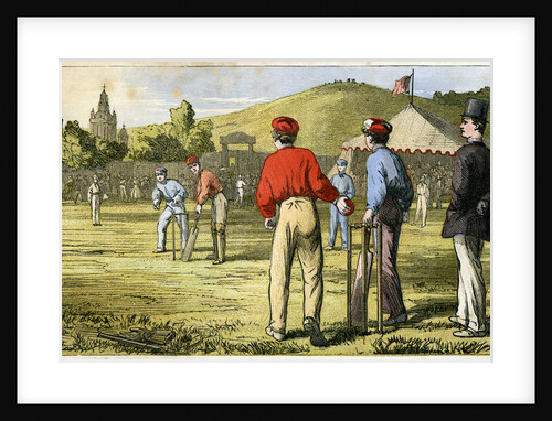 Cricket by Anonymous