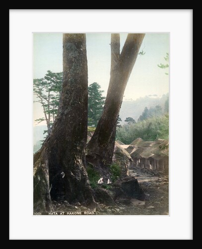 Hata at Hakone Road, Japan by Anonymous