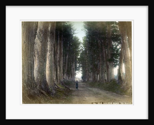 Imaichi Road at Nikko, Japan by Anonymous